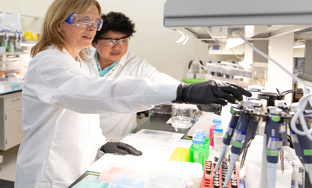 Scientists working in the lab