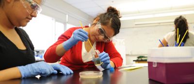 Students in science lab